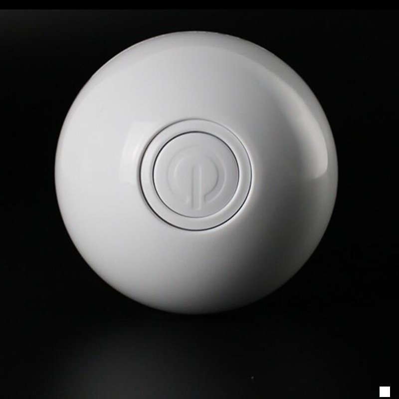 Remote Control Pet Bounce Ball