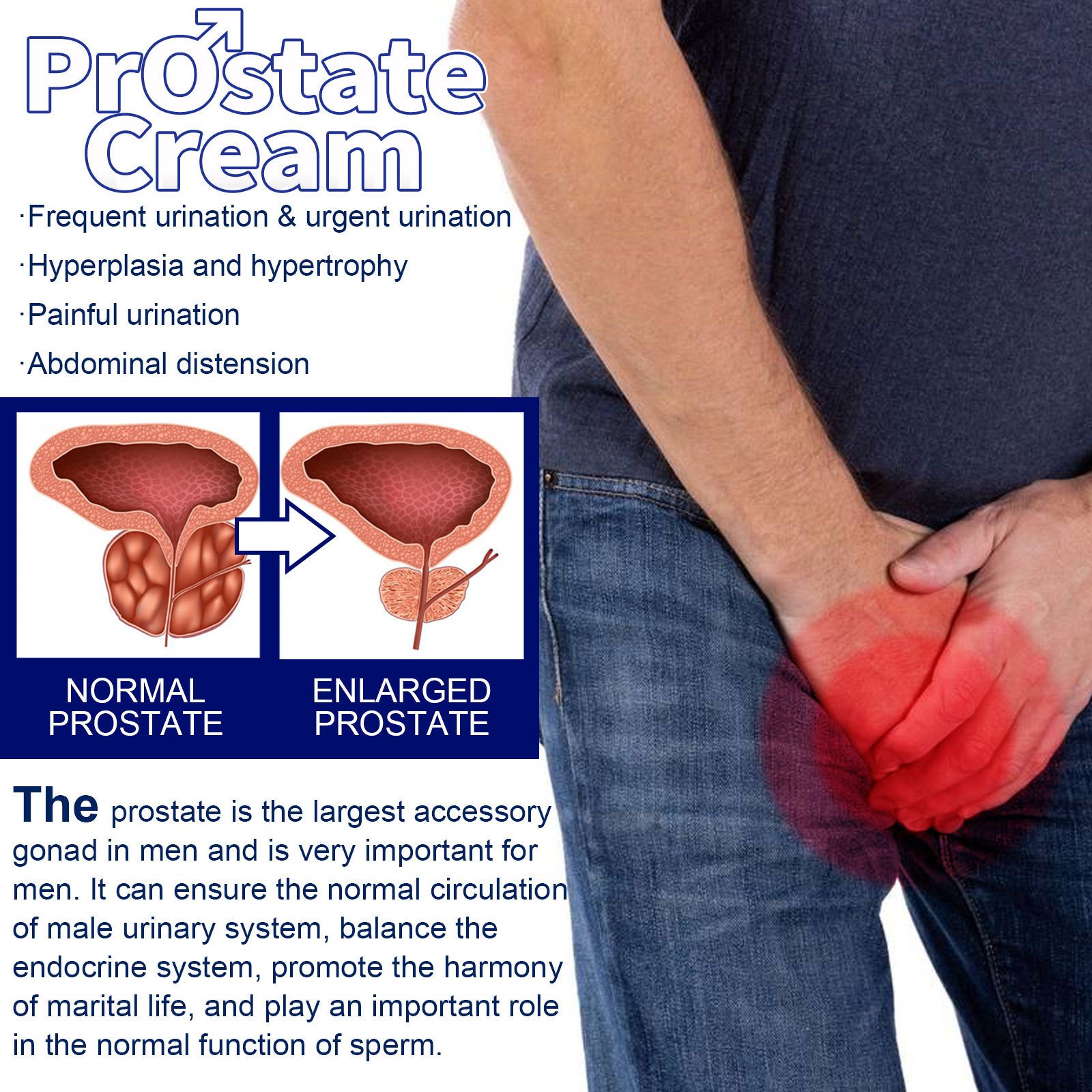 Prostate Discomfort Strengthening Kidney Body Care Men Care Cream - Image 2