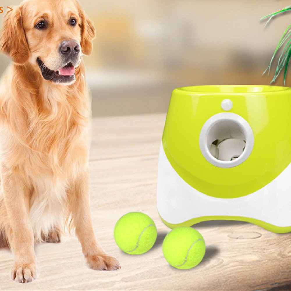 Pet Thrower Outdoor Elastic Tennis Launcher - Image 4