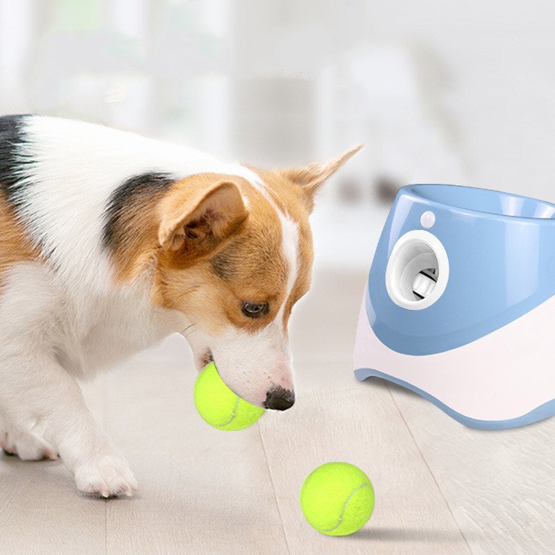 Pet Thrower Outdoor Elastic Tennis Launcher - Image 3